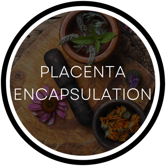 Placenta Encapsulation