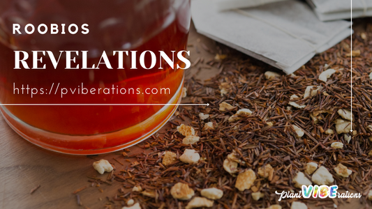 Rooibos Revelations: The Red Bush Tea of South Africa