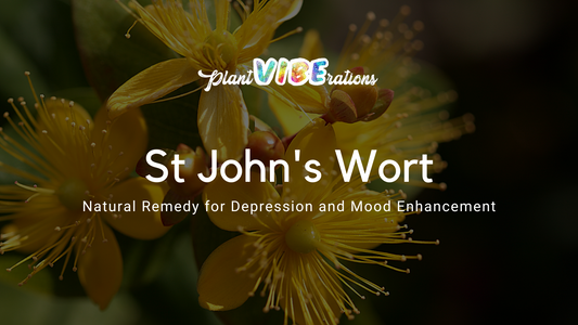 The Benefits of St. John's Wort Supplements for Depression and Mood Enhancement