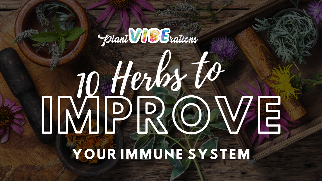 10 Herbal Remedies to Boost Your Immune System