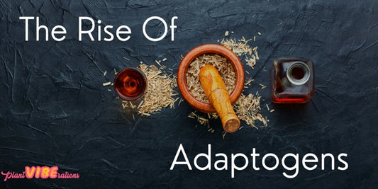 The Rise of Adaptogens: Natural Stress-Busters