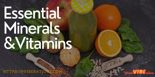 Guide to Essential Minerals and Vitamins: Bridging Nutritional Gaps