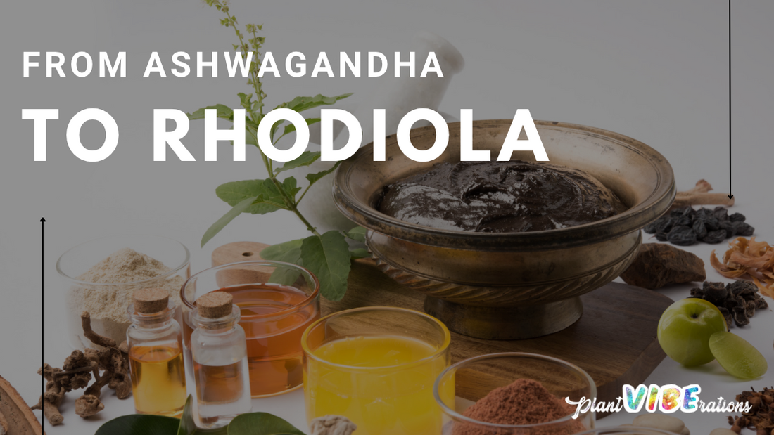 Stress-Busting Adaptogenic Teas: From Ashwagandha to Rhodiola