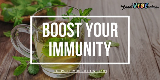 Boost Your Immunity with Nature's Best