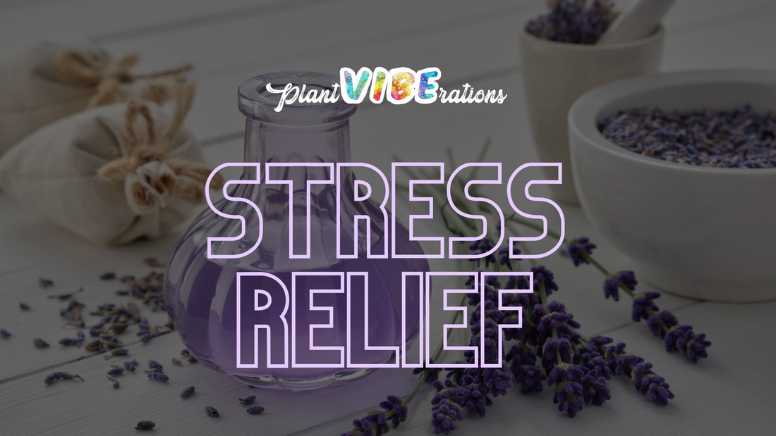 Herbal Supplements for Anxiety and Stress Relief: A Natural Approach