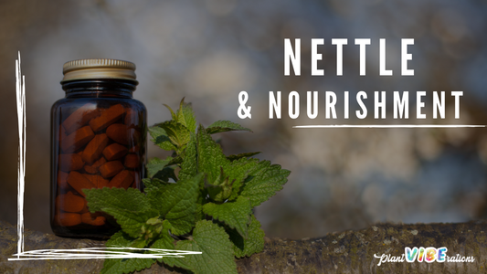 Nettles & Nourishment: Uplifting Your Health with a Simple Infusion