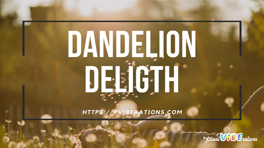 Dandelion Delight: The Unassuming Super Herb in Your Backyard