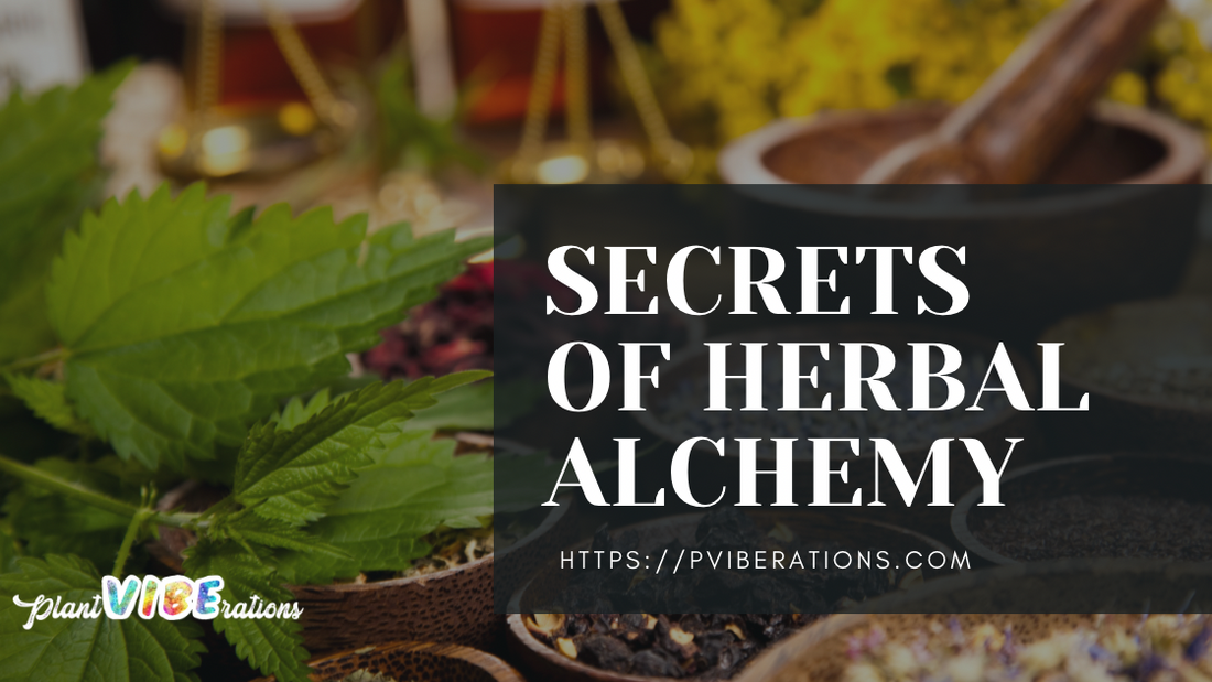 Unlocking the Secrets of Herbal Alchemy: From Gardens to Goblets