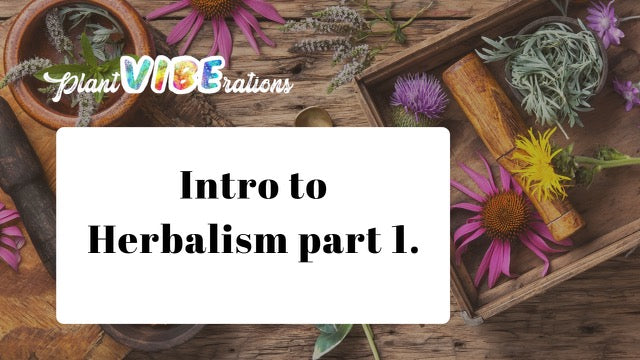 Becoming A Herbalist Part 1