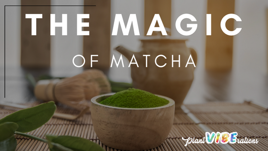 The Magic of Matcha: Japan's Ceremonial Green Tea Powder