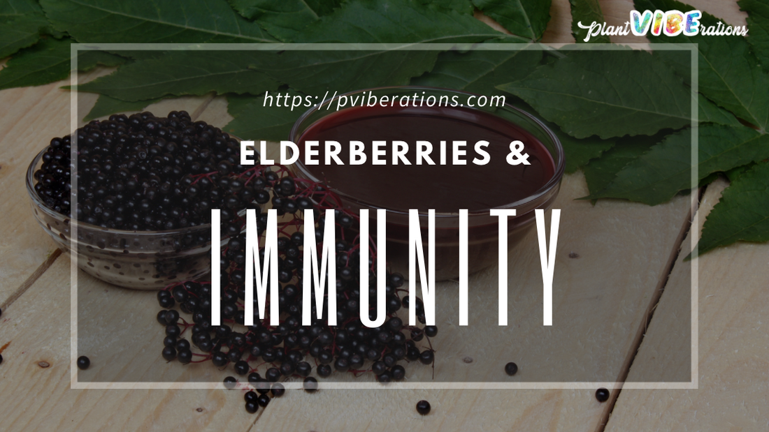 Elderberries & Immunity: Nature's Tiny Shield against Colds and Flus