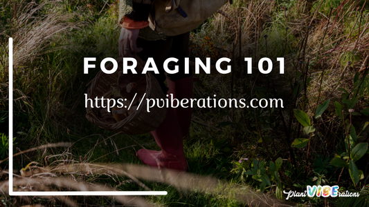 Foraging 101: Wild Herbs and Their Healing Properties