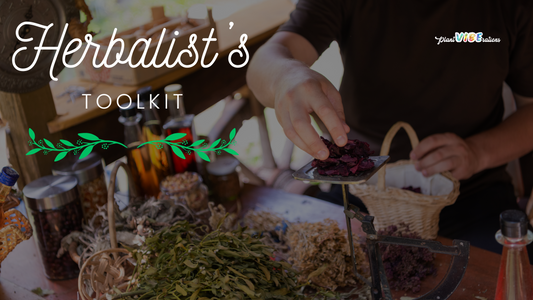 The Herbalist’s Toolkit: Essential Herbs for Everyday Use