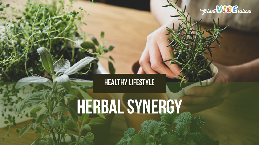 Herbal Synergy: Combining Traditional Herbs for Modern Health Needs