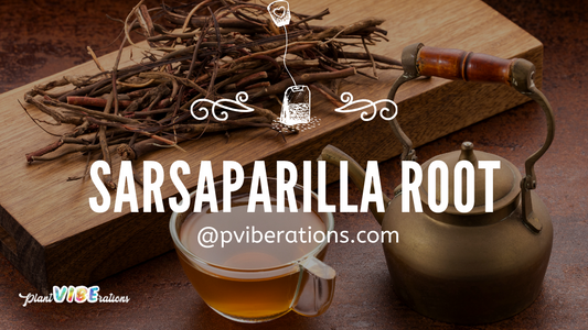 Sarsaparilla Root: Unlocking Ancient Remedies for Modern Well-being