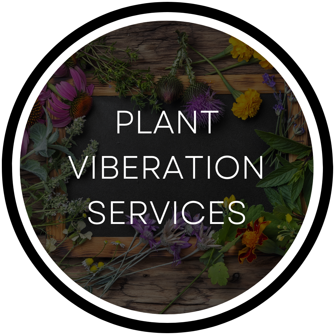 Plant Viberation Services